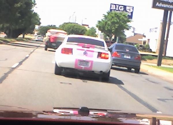 Gotta love pink !-hot-pink-striped-v6.jpg