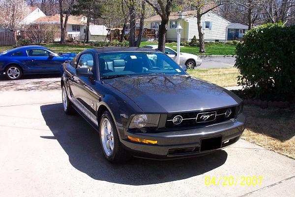 Post Your V6 Mustangs-blackoutplate.jpg