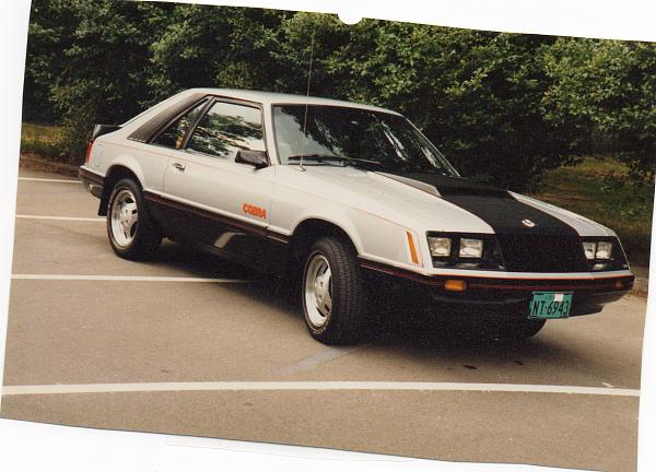 Where has your Mustang been...PIC THREAD-img008.jpg