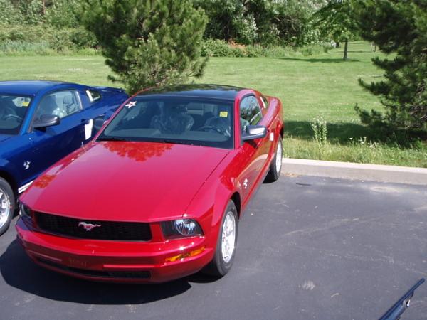 Here's 1st look of 2009 Glass Roof Mustang at my Ford dealership-09mustang1.jpg