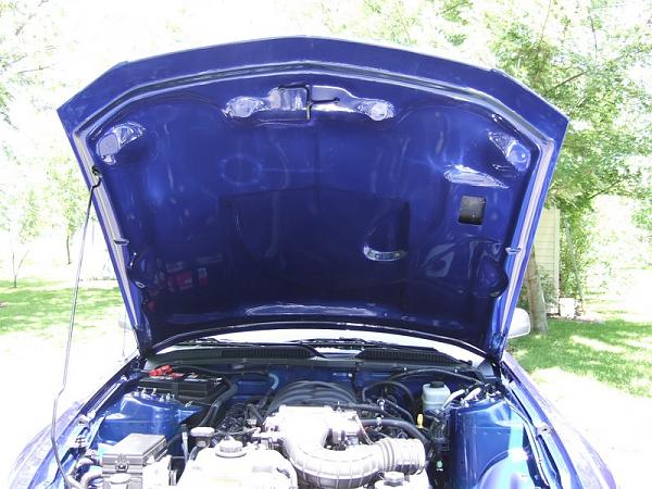 Hood liner - is it really necessary?-dscf2589.jpg