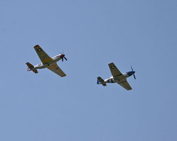 Where are all the old Mustangs?-manes-planes-2008-016.jpg