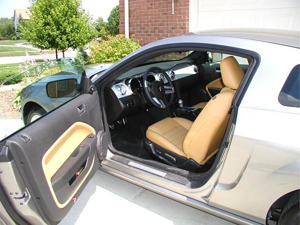 Soft Spot For Chamois...-interior.jpg