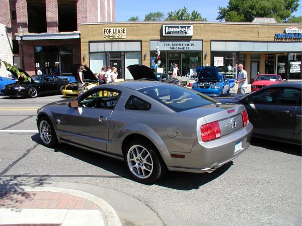 Soft Spot For Chamois...-dreamcruiselr.jpg