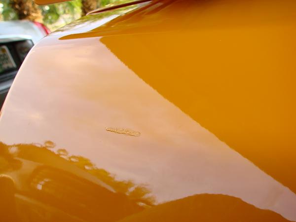 Almost 2 years first scratch, crap!-dsc01170.jpg.jpg