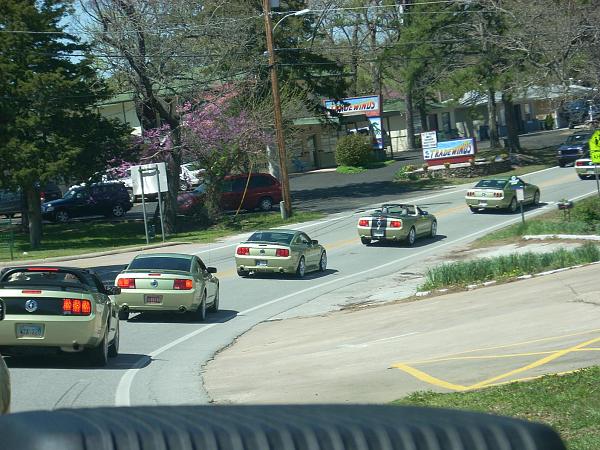 What is your most memorable moment?  Must have a picture-eureka-springs17.jpg