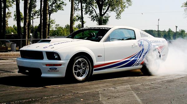 clear pics of the CJ mustang.-fr500cj3.jpg