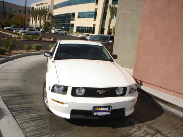 Im Sad and Happy, its like being microwaved.-dsc09686.jpg