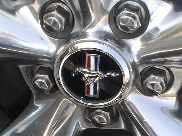 Im Sad and Happy, its like being microwaved.-dsc09695.jpg