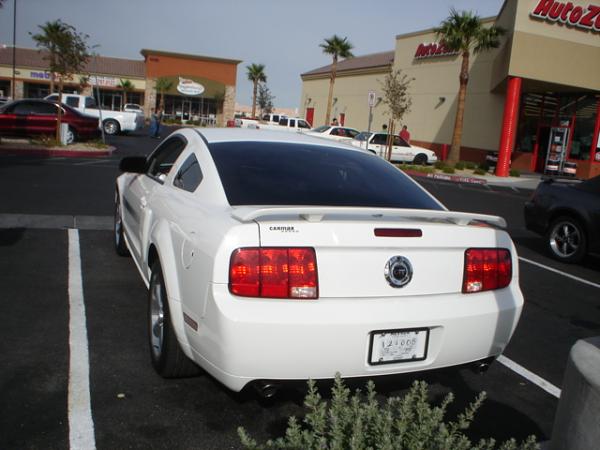 Im Sad and Happy, its like being microwaved.-dsc09703.jpg