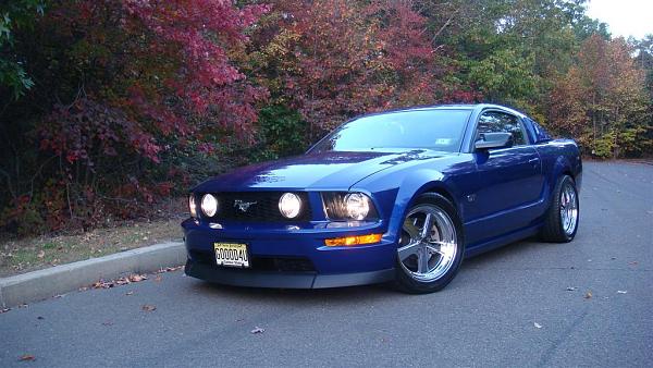 The end of the 05-09 Mustang-dsc01179-large-.jpg