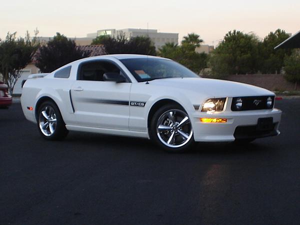 Here is the Steed in all of his glory!-dsc09795.jpg