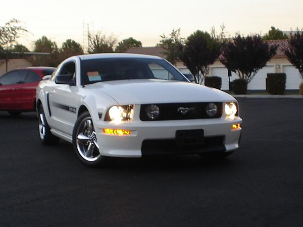 Here is the Steed in all of his glory!-dsc09796.jpg