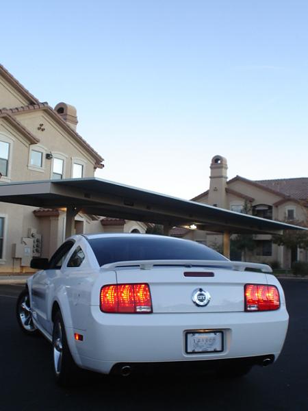 Here is the Steed in all of his glory!-dsc09799.jpg