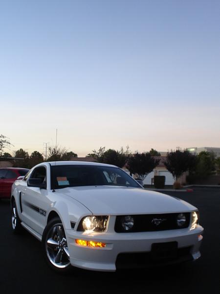 Here is the Steed in all of his glory!-dsc09800.jpg