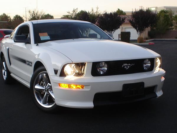 Here is the Steed in all of his glory!-dsc09801.jpg