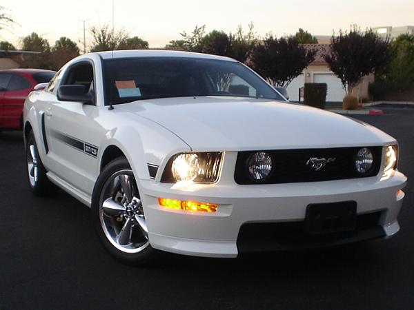 Here is the Steed in all of his glory!-dsc09802.jpg