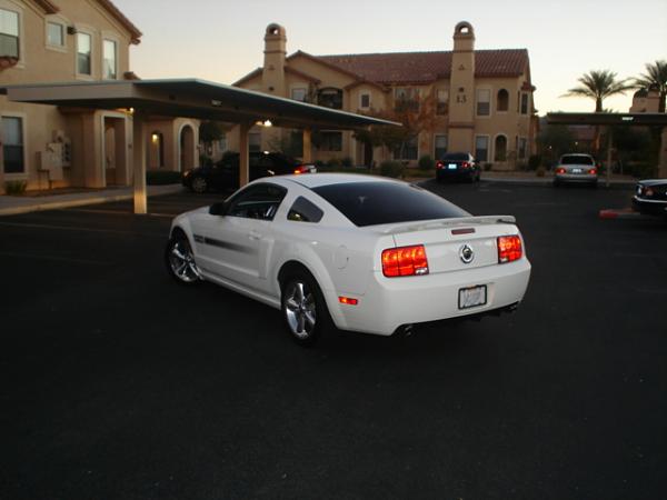 Here is the Steed in all of his glory!-dsc09803.jpg