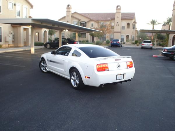 Here is the Steed in all of his glory!-dsc09804.jpg