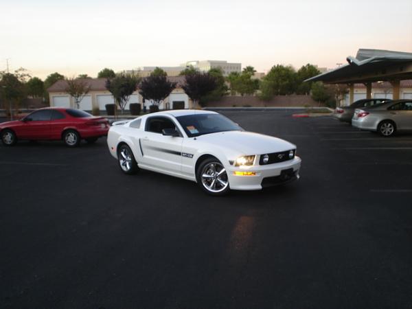 Here is the Steed in all of his glory!-dsc09805.jpg