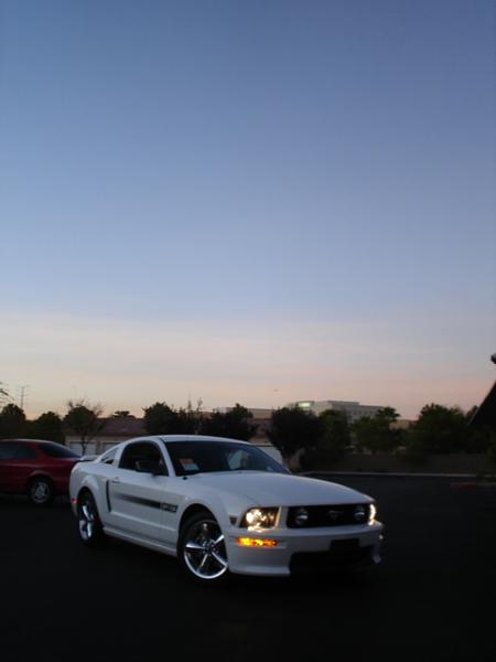 Here is the Steed in all of his glory!-dsc09806.jpg