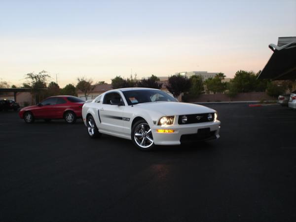 Here is the Steed in all of his glory!-dsc09807.jpg