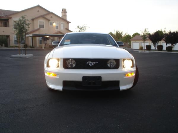 Here is the Steed in all of his glory!-dsc09808.jpg