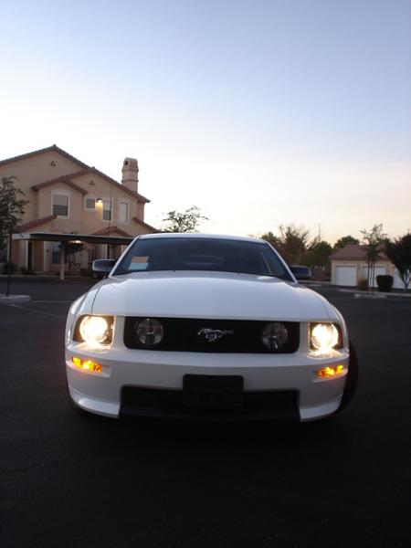 Here is the Steed in all of his glory!-dsc09810.jpg