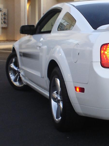 Here is the Steed in all of his glory!-dsc09812.jpg