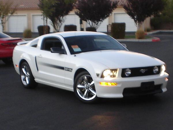 Here is the Steed in all of his glory!-dsc09815.jpg