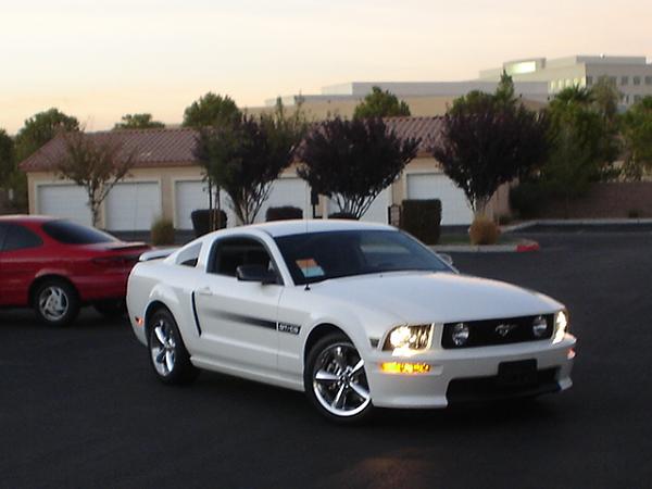 Here is the Steed in all of his glory!-dsc09816.jpg