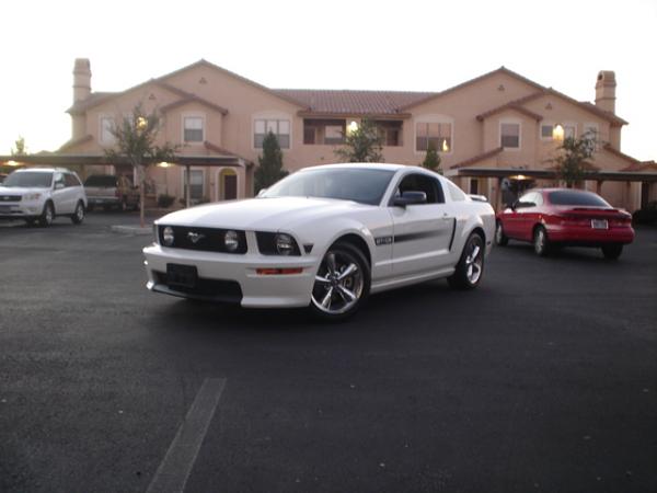 Here is the Steed in all of his glory!-dsc09818.jpg