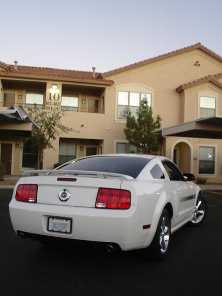 Here is the Steed in all of his glory!-dsc09820.jpg