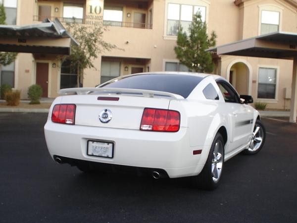 Here is the Steed in all of his glory!-dsc09821.jpg