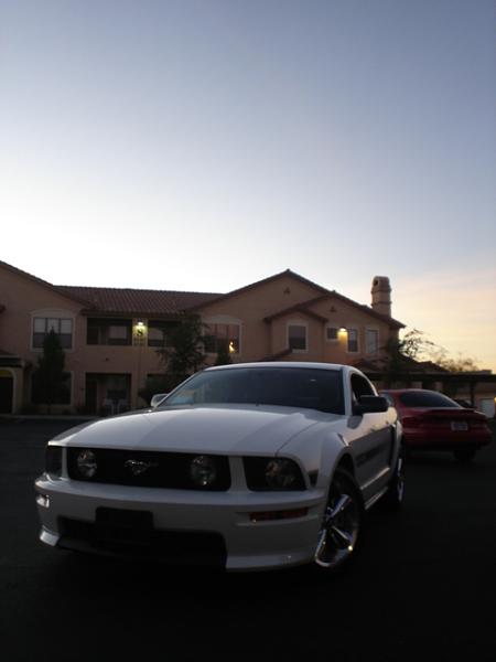 Here is the Steed in all of his glory!-dsc09824.jpg