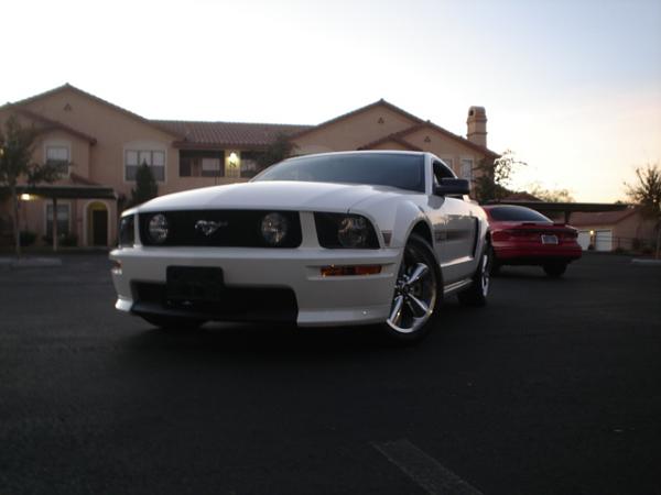 Here is the Steed in all of his glory!-dsc09825.jpg