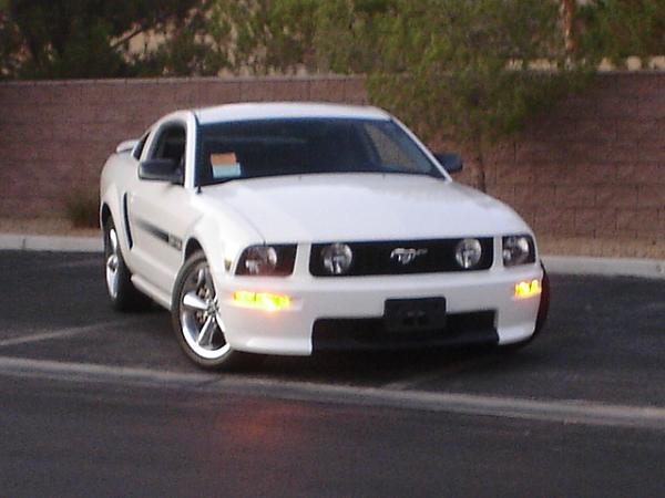 Here is the Steed in all of his glory!-dsc09828.jpg