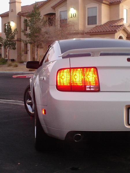 Here is the Steed in all of his glory!-dsc09832.jpg