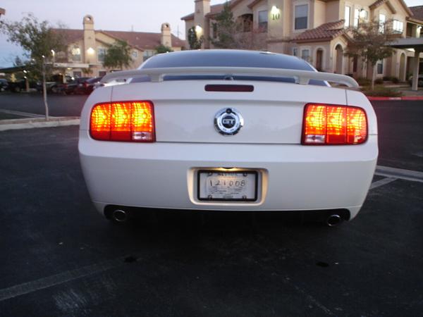 Here is the Steed in all of his glory!-dsc09831.jpg