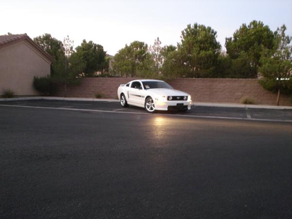 Here is the Steed in all of his glory!-dsc09835.jpg