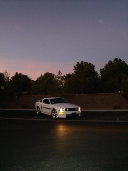 Here is the Steed in all of his glory!-dsc09840.jpg