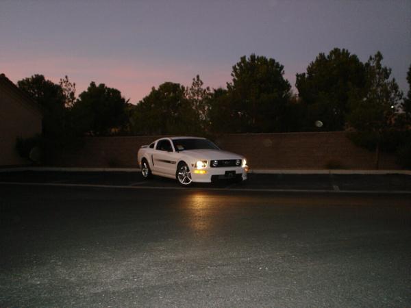 Here is the Steed in all of his glory!-dsc09841.jpg