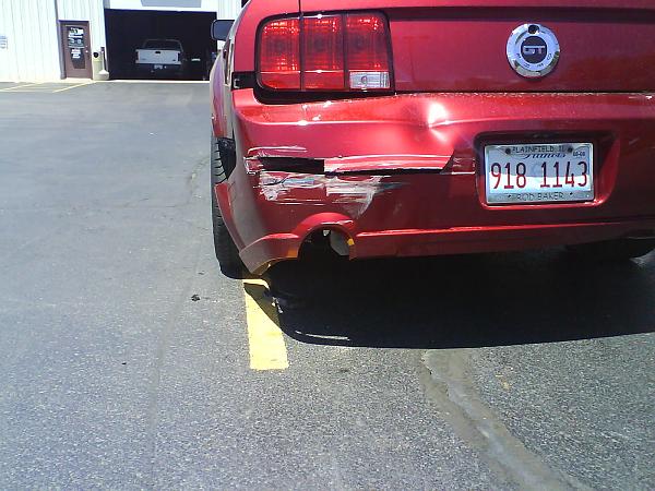 Pony hurt by idiot driver.-picture-007.jpg