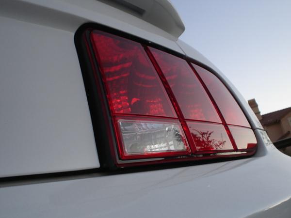 Here is the Steed in all of his glory!-dsc09892.jpg