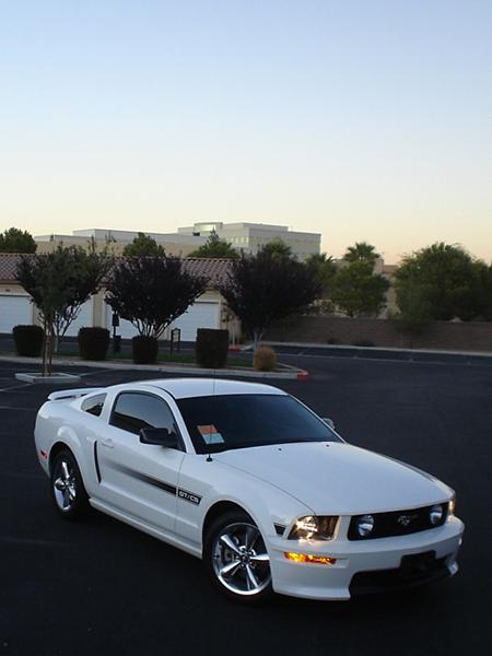 Your Mustang Story: How did you Unite with your Mustang?-dsc09851.jpg