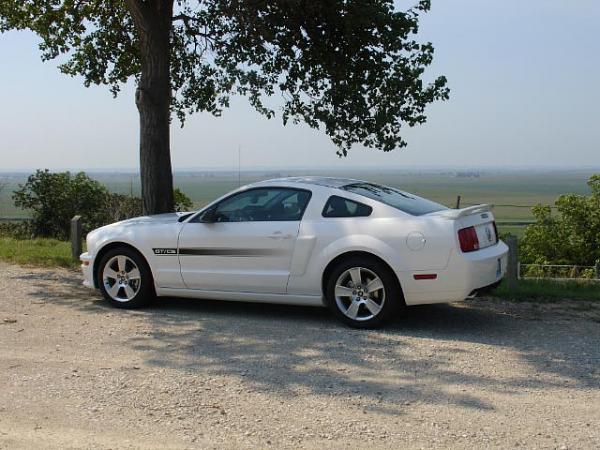 Your Mustang Story: How did you Unite with your Mustang?-2007-woodhouse-mustang-gtcs.jpg