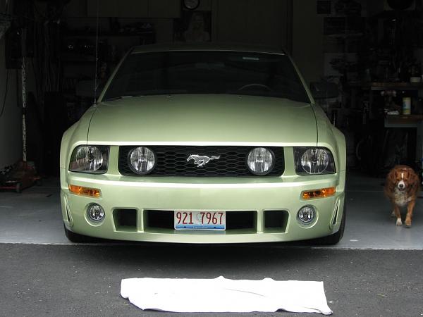 Hate the Front License Plate Law!-plate.jpg
