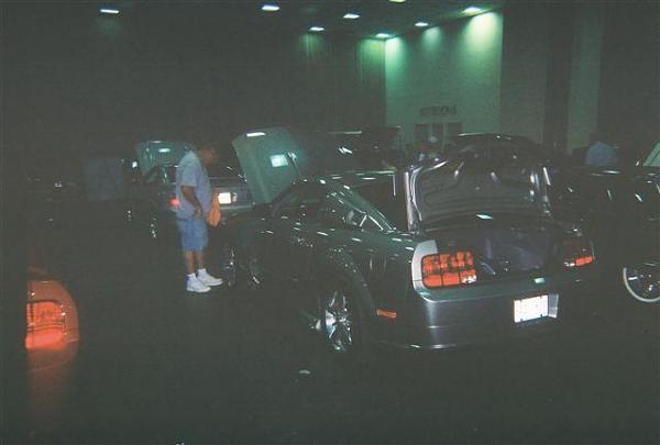 Post a picture of you and your Mustang!-rear.jpg