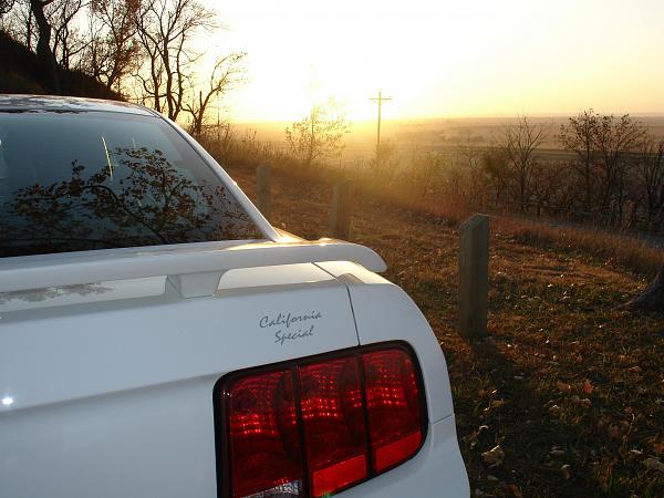 New pics of my stang-2008-last-fall-good-times-148.jpg