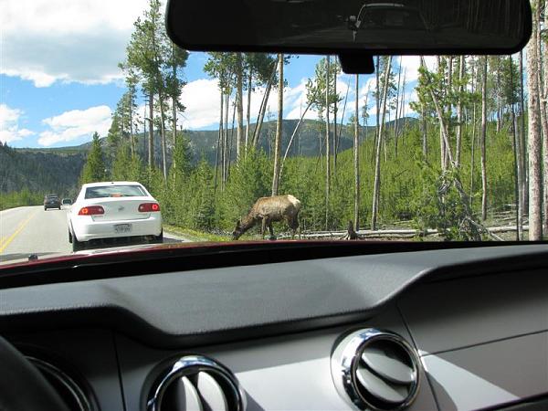 What is your most memorable moment?  Must have a picture-dcp-1429-medium-.jpg